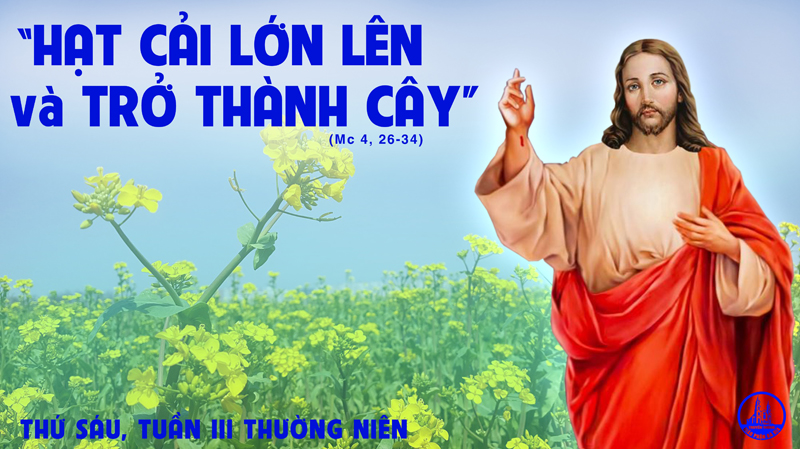 29.01.2021 – Thứ Sáu tuần III Thường niên