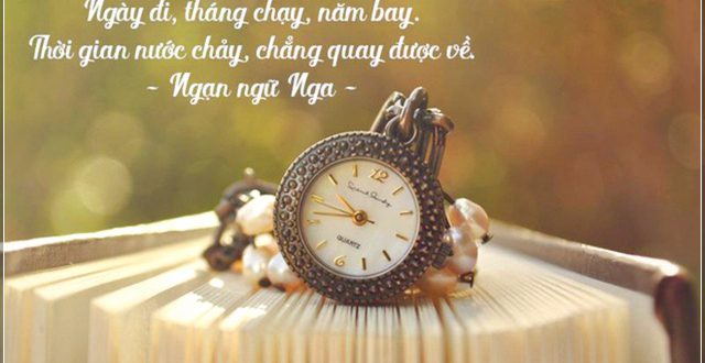Một năm nhìn lại