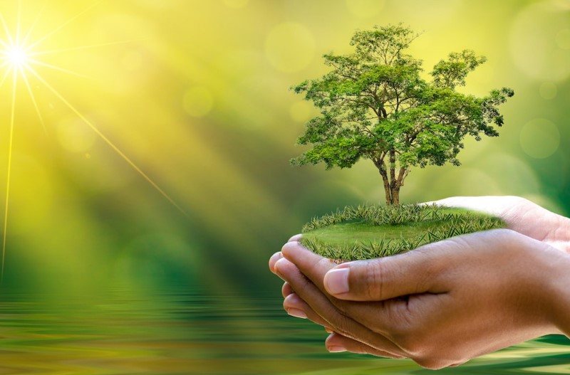Thư Caritas – Tháng 05/2021: Chiến dịch “marathon cầu nguyện” và Tuần lễ Laudato Si’