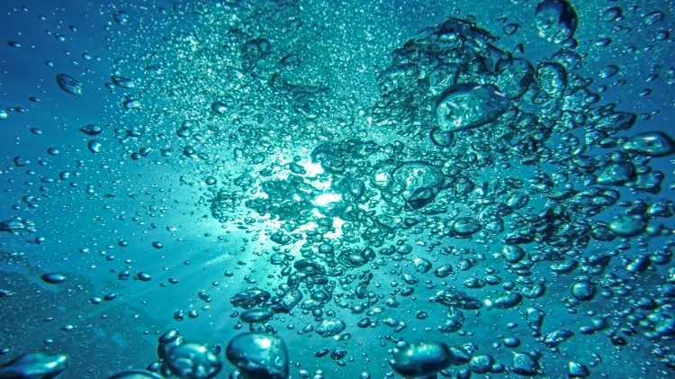 Toàn văn Sứ điệp chung về việc bảo vệ thiên nhiên