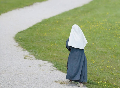 Tu sĩ và quê hương