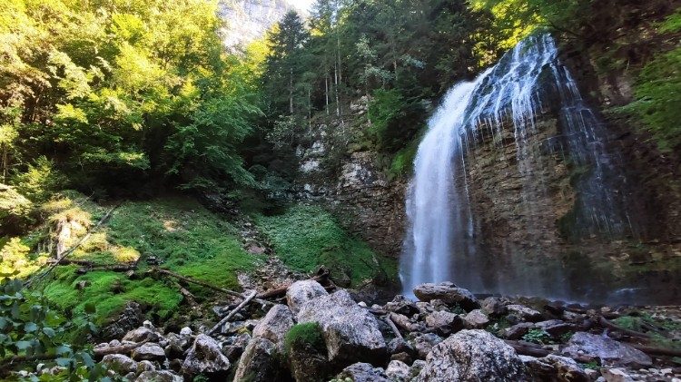 ĐTC cảnh báo Thiên Chúa sẽ phán xét nếu chúng ta không bảo vệ công trình sáng tạo