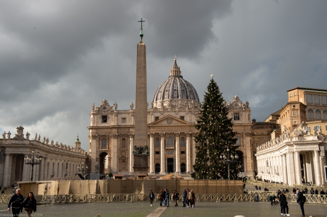 Truyền thống dựng cây thông Noel ở Vatican