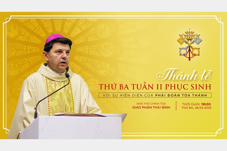 Trực tuyến: Thánh lễ do phái đoàn Tòa thánh hiệp dâng tại Nhà thờ Chính tòa Thái Bình