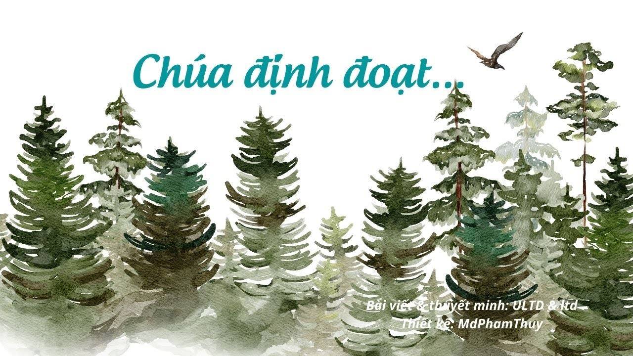 “Chúa định đoạt”