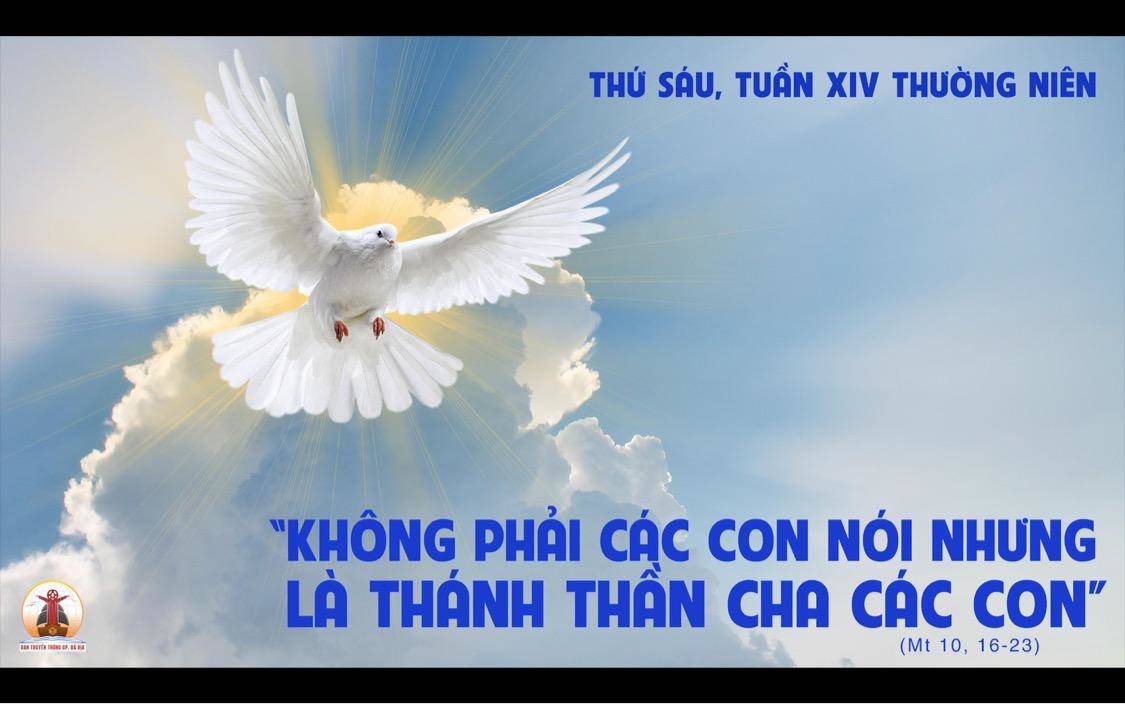 08.7.2022 – Thứ Sáu Tuần XIV Thường Niên