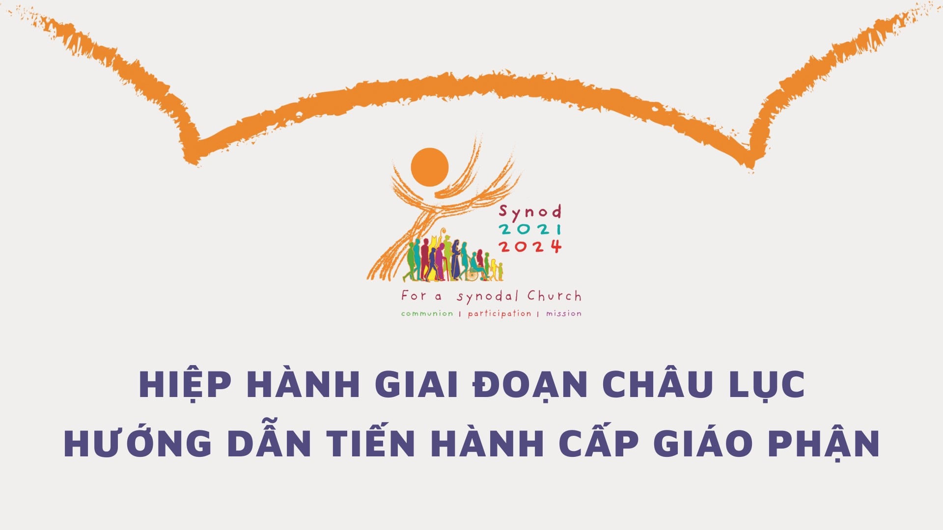 Hiệp hành Giai đoạn Châu lục – Hướng dẫn tiến hành cấp giáo phận
