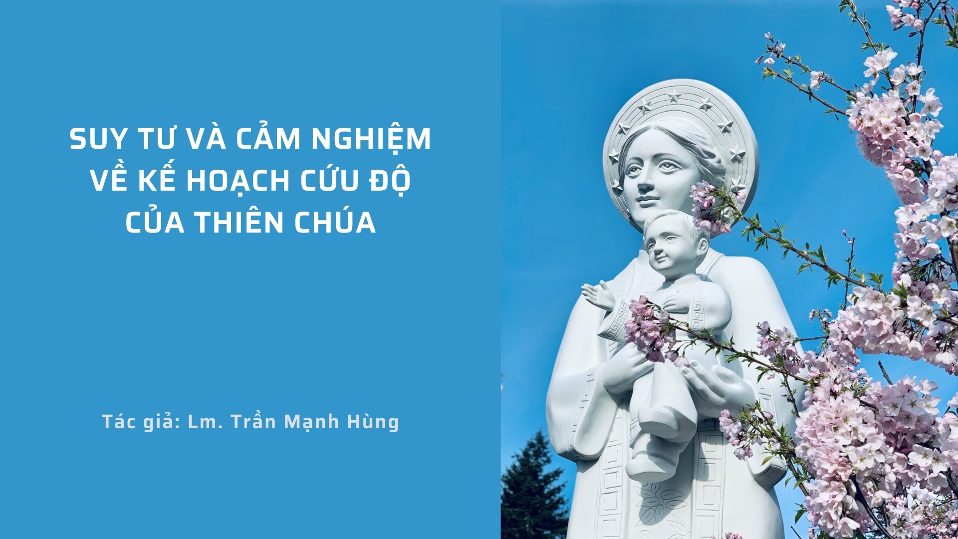 Suy tư và cảm nghiệm về kế hoạch cứu độ của Thiên Chúa