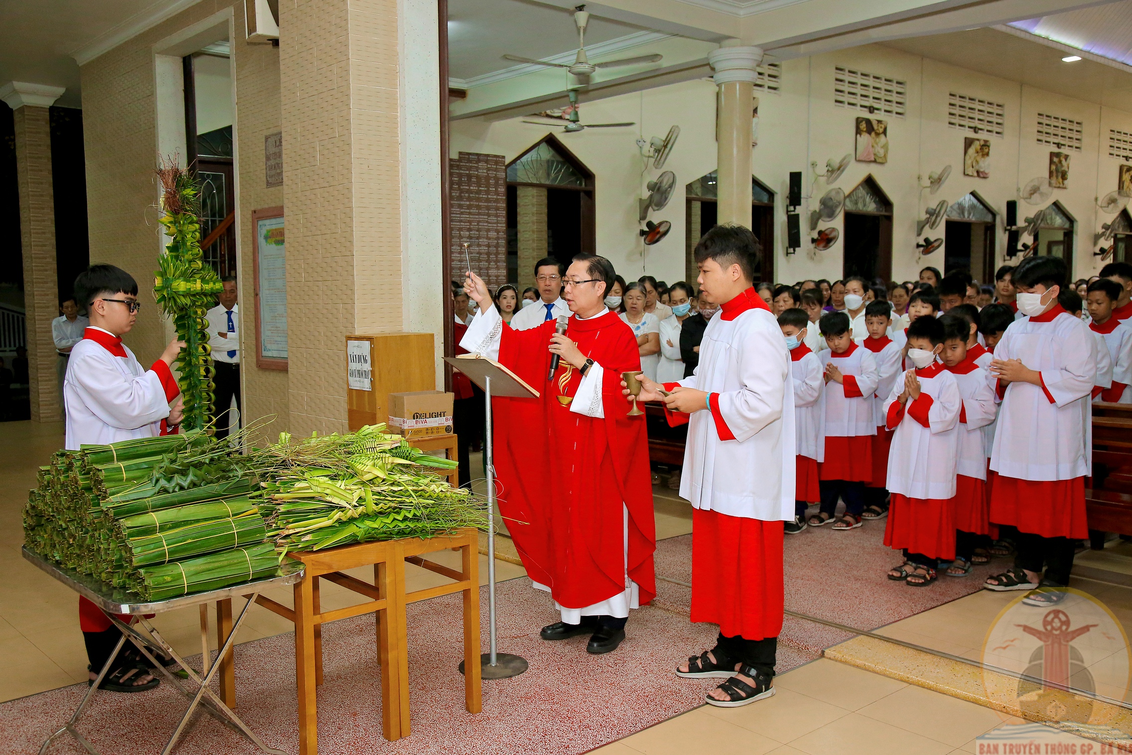 Gx. Phước Bình: Cử hành phụng vụ Lễ Lá 2023