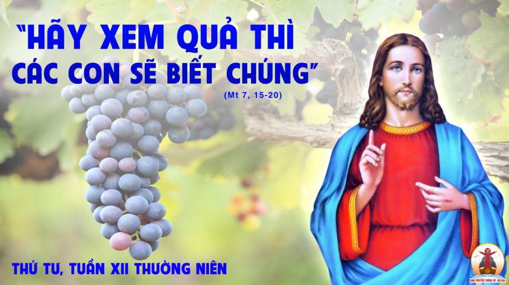 28.06.2023 – Thứ Tư Tuần XII Thường Niên