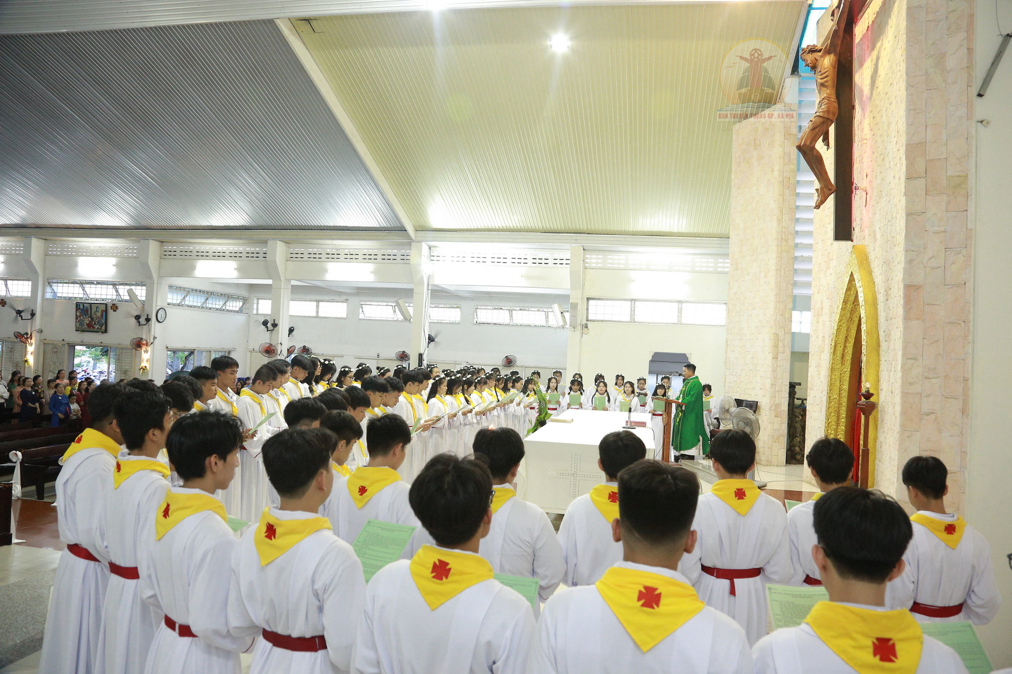 Gx. Lam Sơn: Thánh lễ tuyên hứa Bao đồng – 09.7.2023