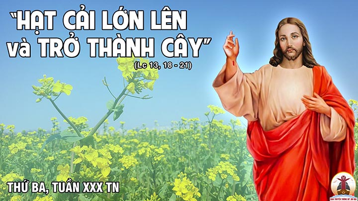 31.10.2023 – Thứ Ba Tuần XXX Thường Niên