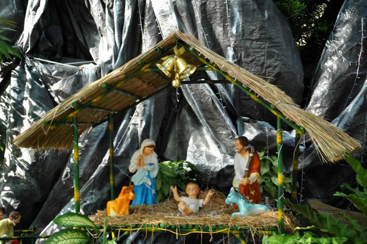 Giáng Sinh và văn hóa sự sống