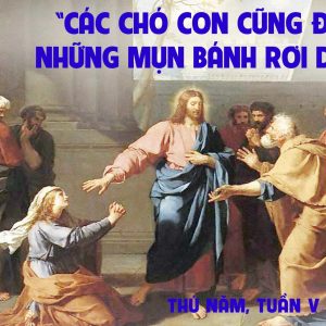 08.02.2024 – Thứ Năm Tuần V Thường Niên