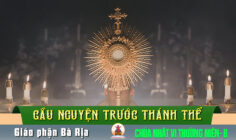 Cầu nguyện trước Thánh Thể- Ngày 11.02.2024 – Chúa nhật VI Thường niên B – Mc 1,40-45