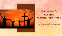 Sống mầu nhiệm Gia Đình Giáo Hội Hiệp Thông