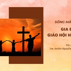 Sống mầu nhiệm Gia Đình Giáo Hội Hiệp Thông