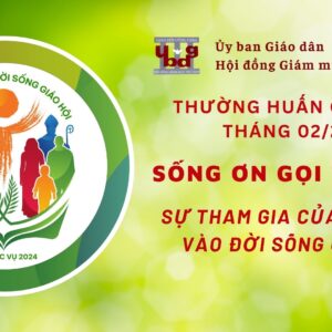 Ủy ban Giáo dân – Thường huấn tháng 02/2024: Sự tham gia của giáo dân vào đời sống Giáo hội