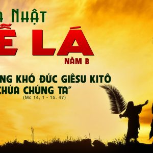 CÁC BÀI SUY NIỆM LỜI CHÚA CHÚA NHẬT LỄ LÁ- NĂM B