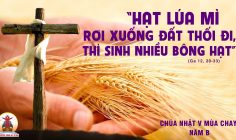 CÁC BÀI SUY NIỆM LỜI CHÚA CHÚA NHẬT V MÙA CHAY –  B
