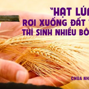 CÁC BÀI SUY NIỆM LỜI CHÚA CHÚA NHẬT V MÙA CHAY –  B