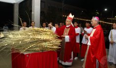 Gx. Lam Sơn: Cử hành phụng vụ Chúa nhật Lễ Lá- Ngày 24.3.2024