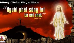 CÁC BÀI SUY NIỆM LỜI CHÚA CHÚA NHẬT PHỤC SINH- B