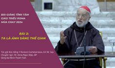 Bài giảng tĩnh tâm Giáo triều Roma Mùa Chay 2024: Bài 2 – Ta là ánh sáng thế gian