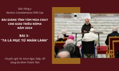 Bài giảng tĩnh tâm Giáo triều Roma Mùa Chay 2024: Bài 3 – Ta là Mục tử Nhân lành