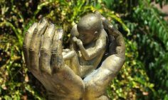 Hàn lâm viện Tòa Thánh về Sự sống: Không thể có một “quyền” tước đi sự sống con người