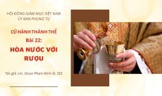 Cử hành Thánh Thể: Bài 22 – Hòa nước với rượu