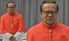 Phỏng vấn Đức Hồng Y Ignatius Suharyo về chuyến tông du của Đức Thánh Cha đến Indonesia