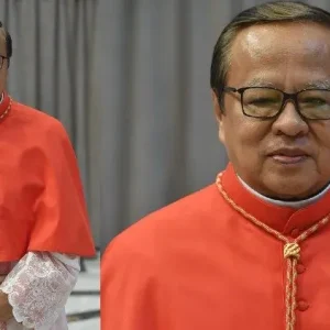 Phỏng vấn Đức Hồng Y Ignatius Suharyo về chuyến tông du của Đức Thánh Cha đến Indonesia