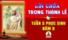 Lời Chúa trong thánh lễ Tuần 5 Phục sinh – Năm B