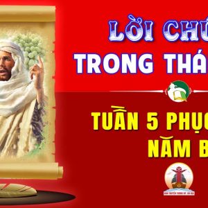 Lời Chúa trong thánh lễ Tuần 5 Phục sinh – Năm B
