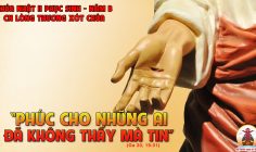 CÁC BÀI SUY NIỆM LỜI CHÚA CHÚA NHẬT II PHỤC SINH  – NĂM B
