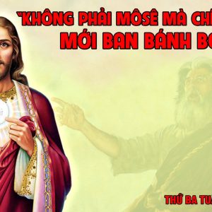 16.04.2024 – Thứ Ba Tuần III Phục Sinh