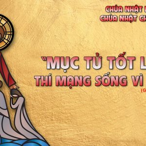 CÁC BÀI SUY NIỆM LỜI CHÚA CHÚA NHẬT IV PHỤC SINH- B