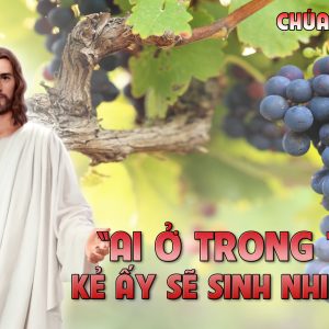 CÁC BÀI SUY NIỆM LỜI CHÚA CHÚA NHẬT V PHỤC SINH- B