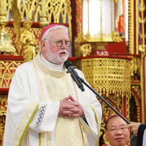 Ngoại trưởng Tòa Thánh Paul Richard Gallagher chủ sự Thánh lễ tại Nhà thờ Chính Tòa Hà Nội