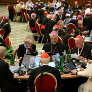 Thượng Hội đồng: Hạt giống nhỏ bé