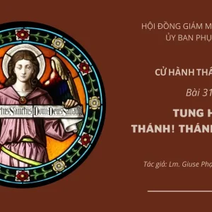 Cử hành Thánh Thể: Bài 31 - Tung hô: Thánh! Thánh! Thánh!