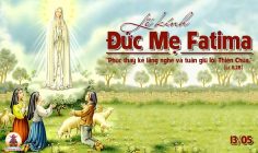 13.05.2024 – Thứ Hai Tuần VII Phục Sinh: Kính Đức Mẹ Fatima