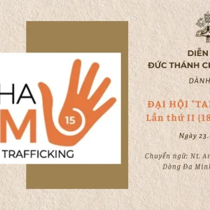 Diễn từ Đức Thánh Cha gửi Đại hội Mạng lưới 
