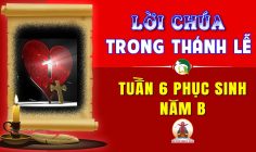 Lời Chúa trong thánh lễ Tuần 6 Phục sinh – Năm B