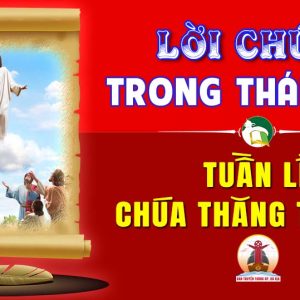 Lời Chúa trong thánh lễ Tuần Lễ Chúa Thăng Thiên – Năm B