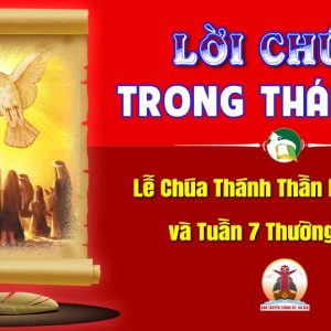Lời Chúa trong thánh lễ Lễ Chúa Thánh Thần Hiện Xuống và Tuần 7 Thường niên B