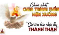 CÁC BÀI SUY NIỆM LỜI CHÚA LỄ CHÚA THÁNH THẦN HIỆN XUỐNG