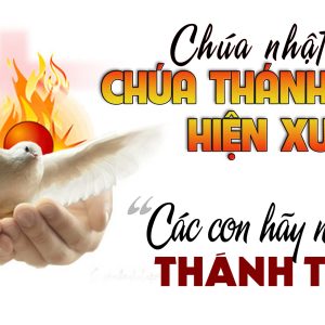 CÁC BÀI SUY NIỆM LỜI CHÚA LỄ CHÚA THÁNH THẦN HIỆN XUỐNG
