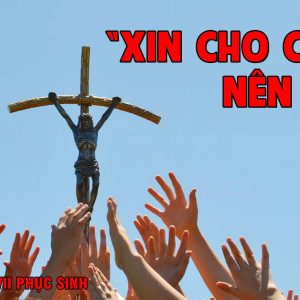 16.05.2024 – Thứ Năm Tuần VII Phục Sinh
